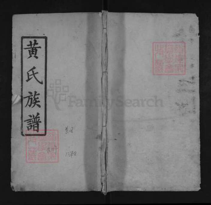 湖北省武汉市黄陂区黄氏双井堂族谱-黄氏族谱.pdf电子版缩略图