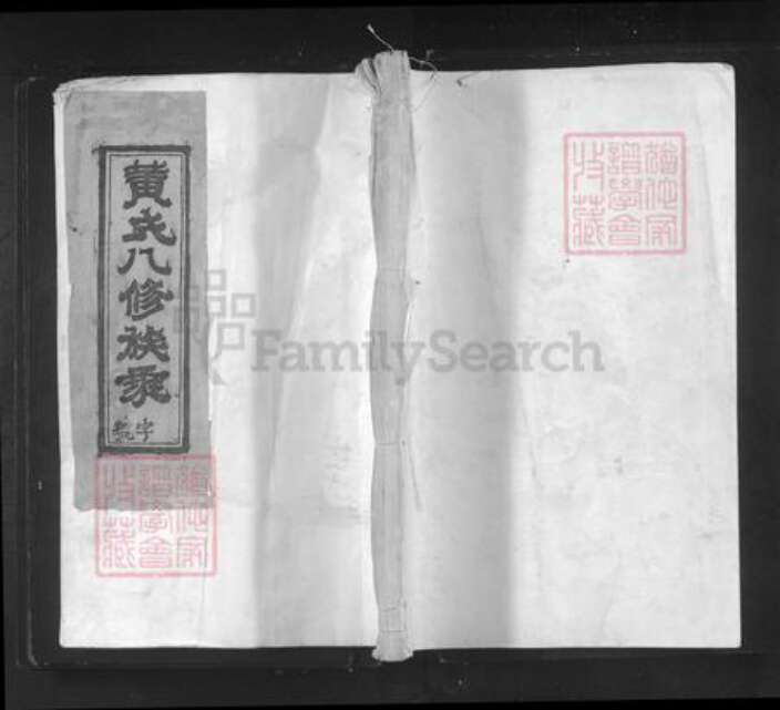 福建省莆田市仙游县石苍乡黄氏族谱-黄氏八修族乘.pdf电子版缩略图