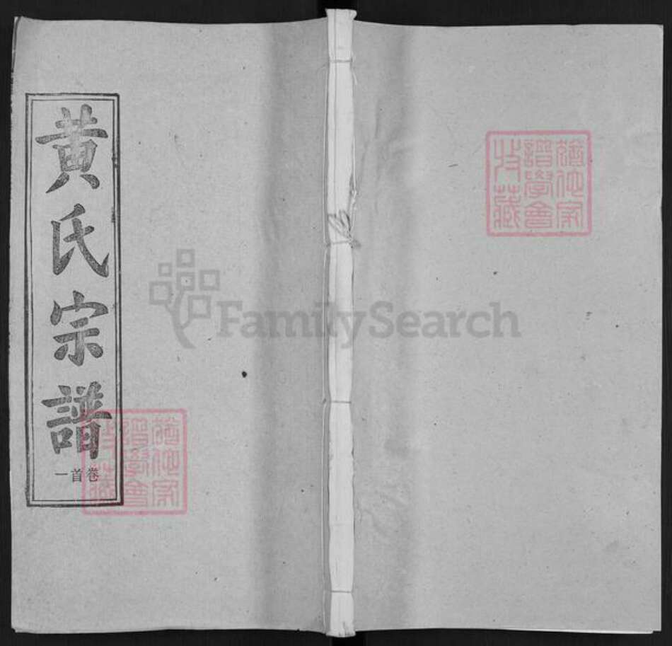 湖北省武汉市新洲区黄氏无双堂族谱-黄氏宗谱.pdf电子版缩略图