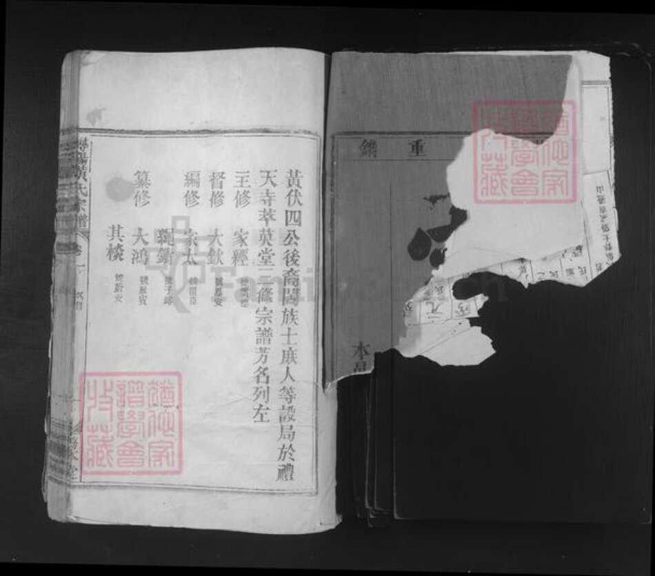 江西省九江市浔阳区黄氏务本堂族谱-浔阳黄氏宗谱.pdf电子版预览图1