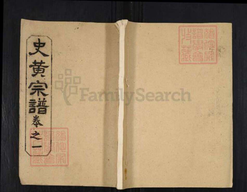 湖北省武汉市新洲区黄氏大度堂族谱-史黄氏宗谱.pdf电子版缩略图