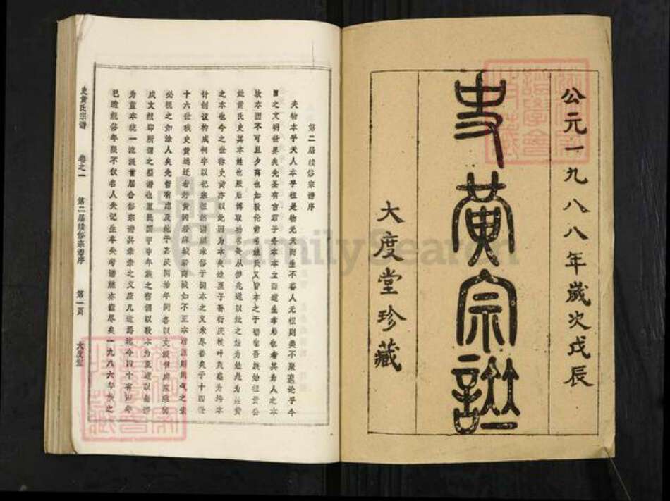 湖北省武汉市新洲区黄氏大度堂族谱-史黄氏宗谱.pdf电子版预览图1