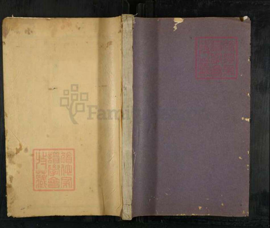 浙江省金华市浦江县黄氏族谱-浦阳黄氏宗谱.pdf电子版缩略图