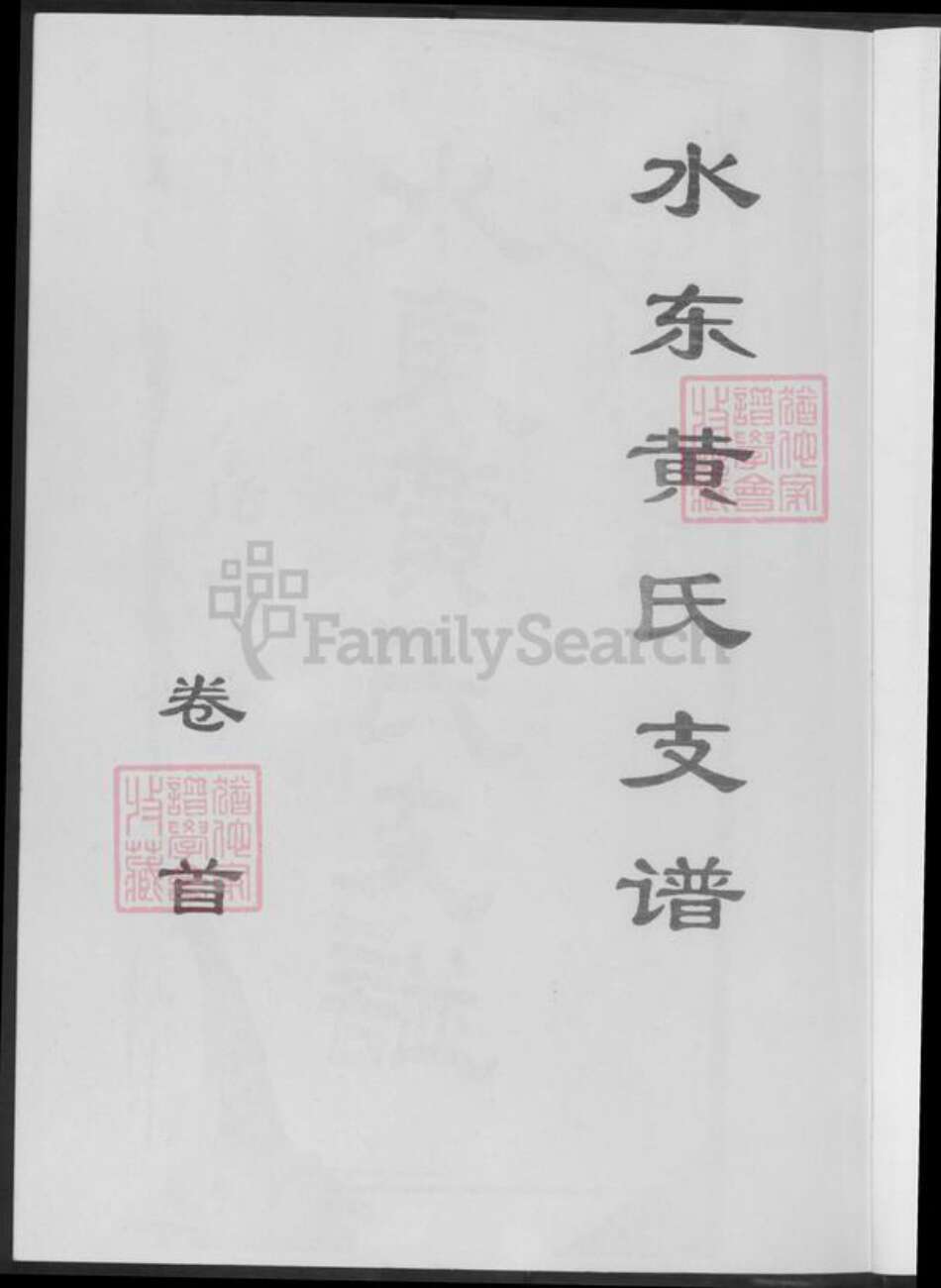 湖南省郴州市临武县黄氏族谱-水东黄氏支谱.pdf电子版预览图2