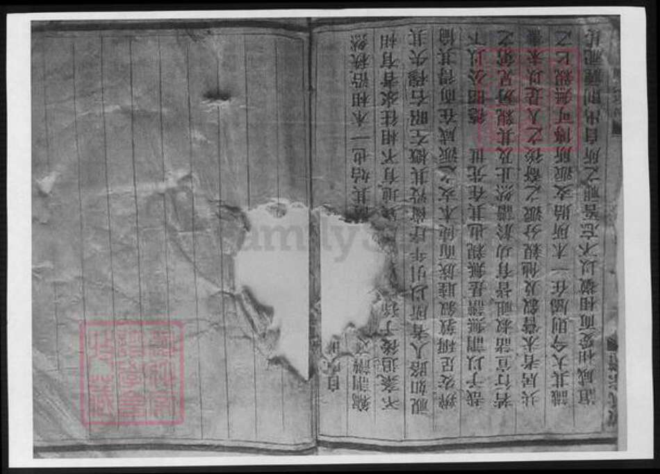 浙江省温州市黄氏族谱-苍南钱库黄判桥黄氏族谱.pdf电子版预览图1