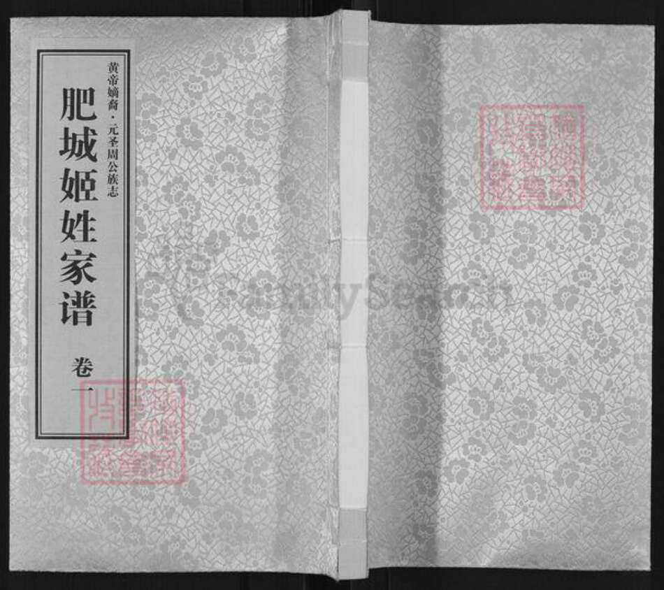 山东省泰安市肥城市孙伯镇姬氏族谱-肥城姬姓家谱.pdf电子版