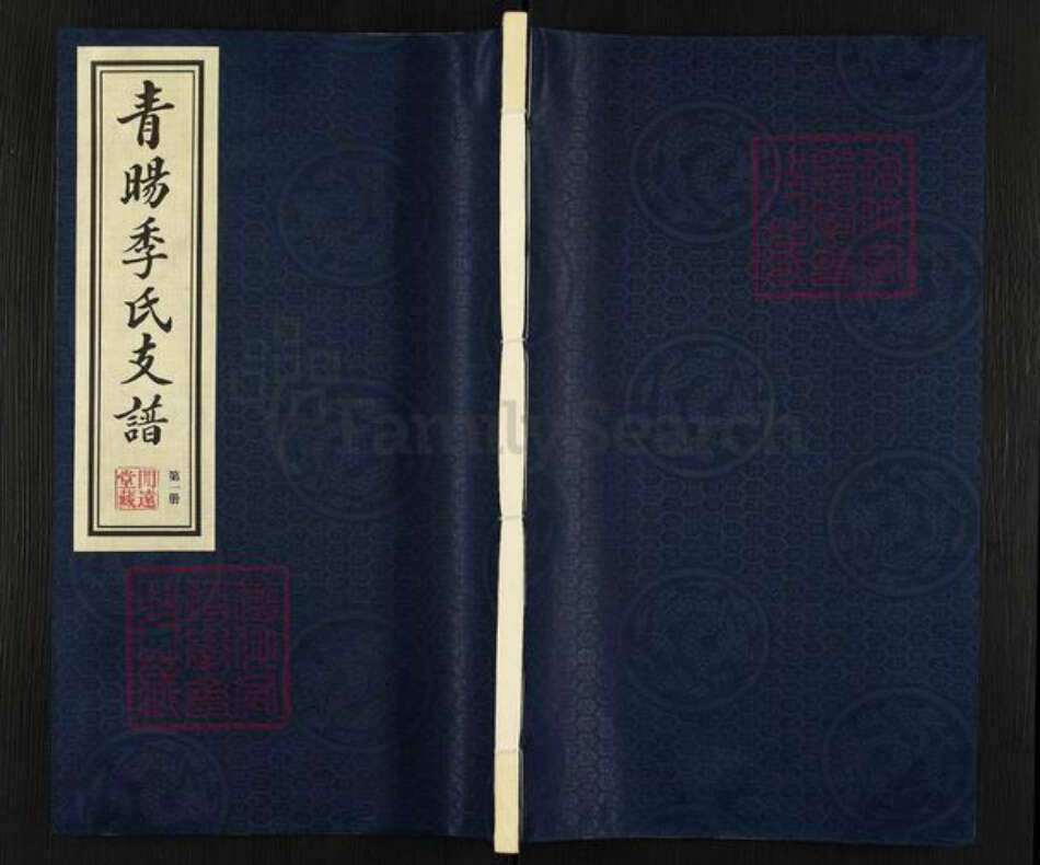 江苏省无锡市江阴市青阳镇季氏闲远堂族谱-青阳季氏支谱.pdf电子版缩略图