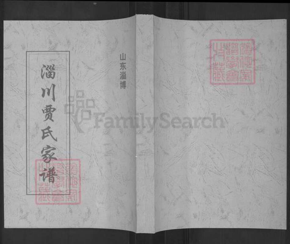 山东省淄博市淄川区贾氏族谱-淄川贾氏家谱.pdf电子版缩略图