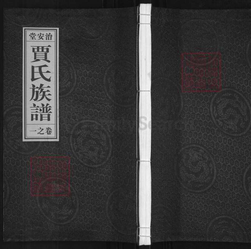 江苏省泰州市泰兴市贾氏治安堂族谱-贾氏族谱.pdf电子版缩略图