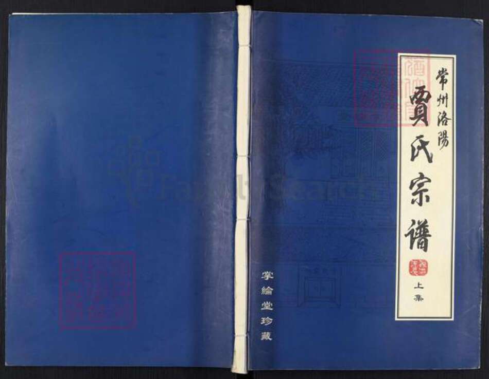 江苏省常州市武进县洛阳镇贾氏掌纶堂族谱-贾氏宗谱.pdf电子版缩略图