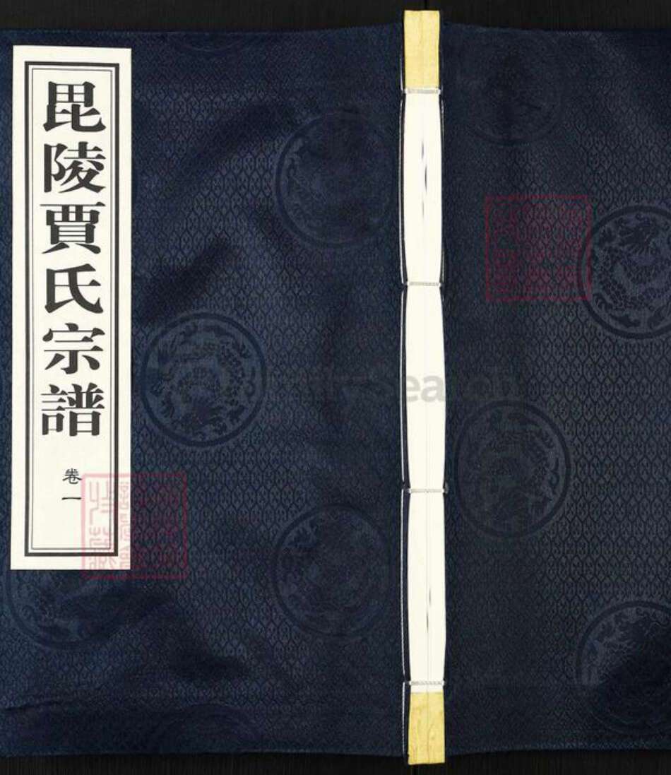 江苏省常州市武进县前黄镇贾氏维则堂族谱-毘陵贾氏宗谱.pdf电子版缩略图