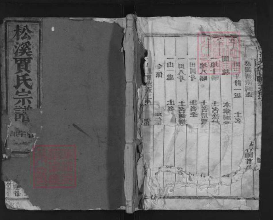 浙江省金华市金东区江东镇贾氏族谱-松溪贾氏宗谱.pdf电子版缩略图