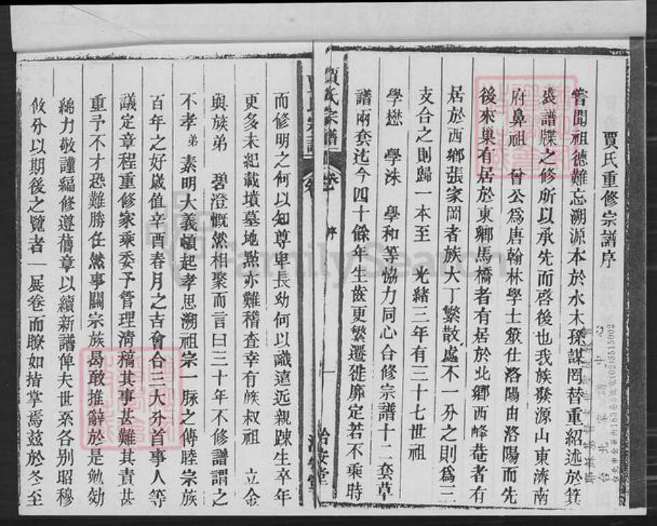 安徽省合肥市巢湖市夏阁镇贾氏洽安堂族谱-巢邑贾氏宗谱.pdf电子版预览图2