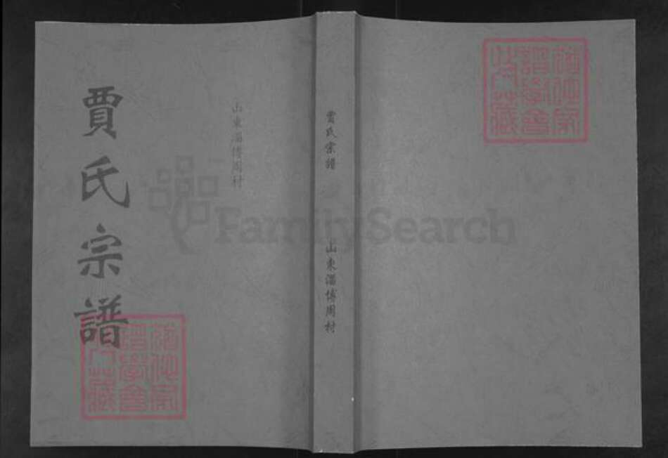 山东省淄博市周村区贾氏族谱-贾氏宗谱.pdf电子版缩略图