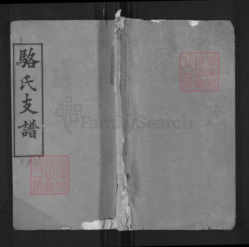 湖北省武汉市新洲区骆氏继宾堂族谱-骆氏支谱.pdf电子版缩略图