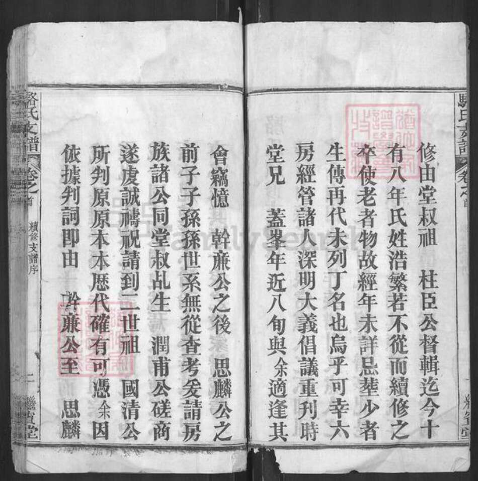 湖北省武汉市新洲区骆氏继宾堂族谱-骆氏支谱.pdf电子版预览图5