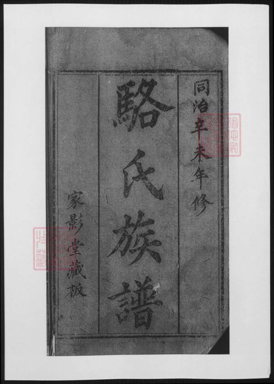 重庆市万州区骆氏族谱-合川骆氏族谱.pdf电子版预览图2