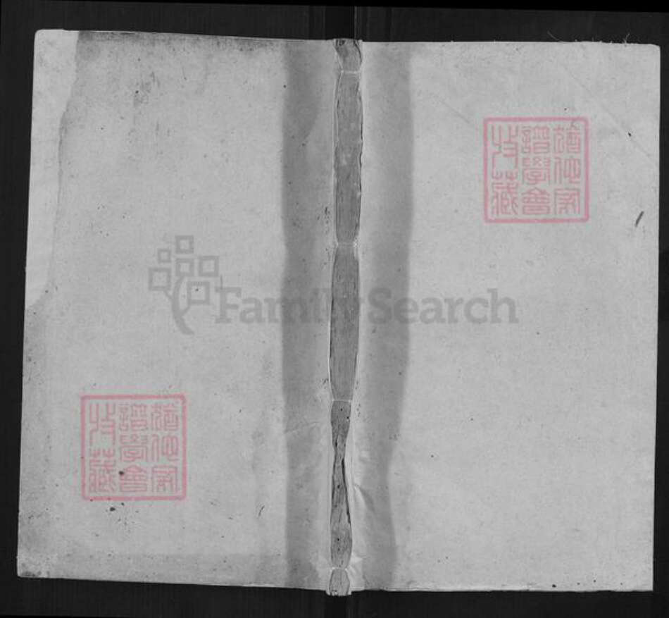 湖北省黄冈市蕲春县骆氏族谱-骆氏宗谱.pdf电子版缩略图