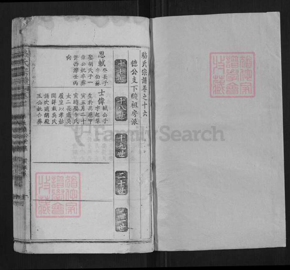 湖北省黄冈市蕲春县骆氏族谱-骆氏宗谱.pdf电子版预览图1