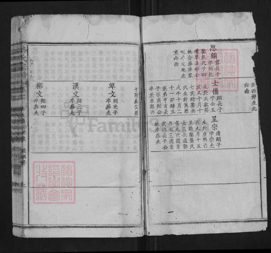 湖北省黄冈市蕲春县骆氏族谱-骆氏宗谱.pdf电子版预览图2