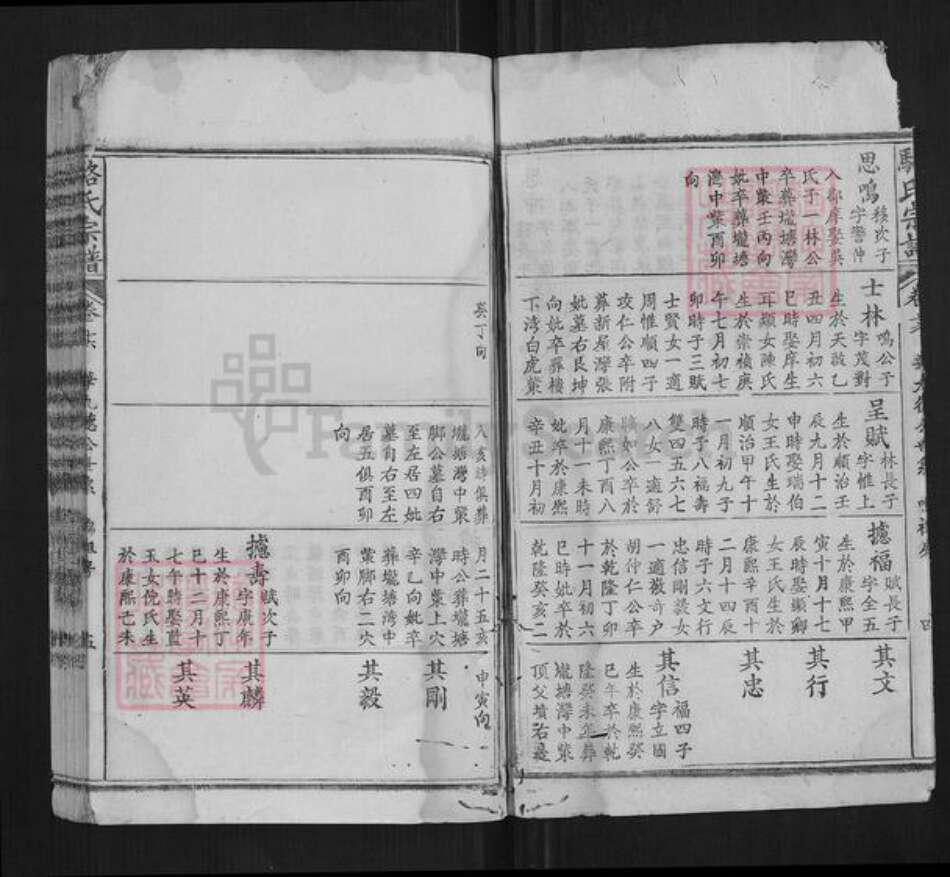 湖北省黄冈市蕲春县骆氏族谱-骆氏宗谱.pdf电子版预览图5