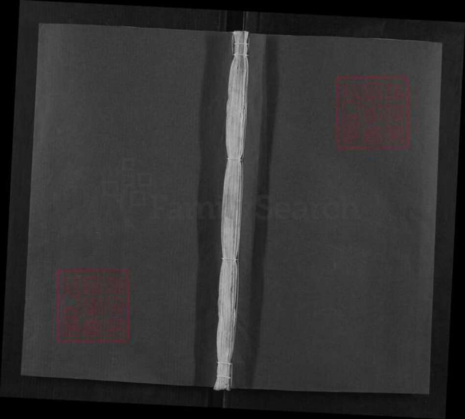 湖北省黄冈市蕲春县骆氏族谱-骆氏宗谱.pdf电子版缩略图