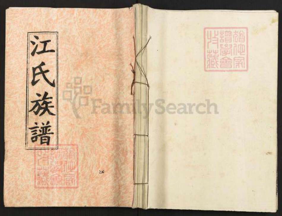 湖南省郴州市桂阳县雷坪镇江氏济阳堂族谱-江氏族谱.pdf电子版缩略图