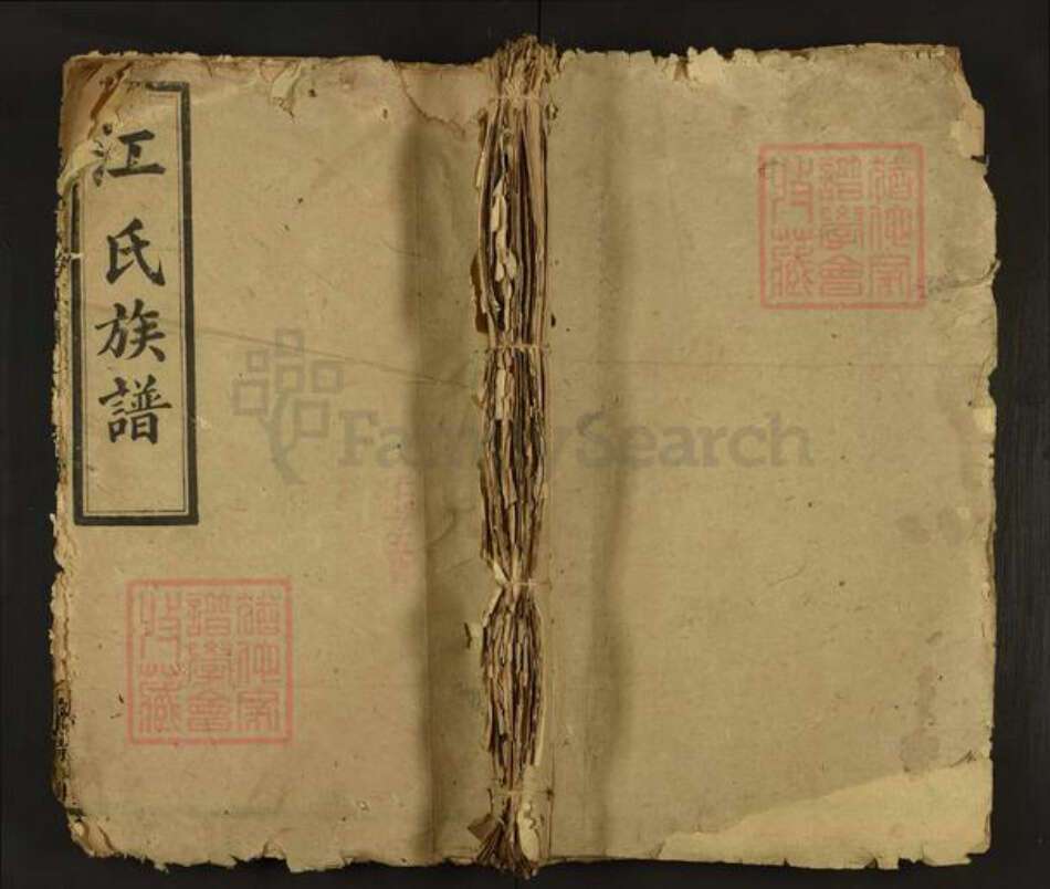 湖南省常德市汉寿县江氏济阳堂族谱-江氏族谱.pdf电子版缩略图