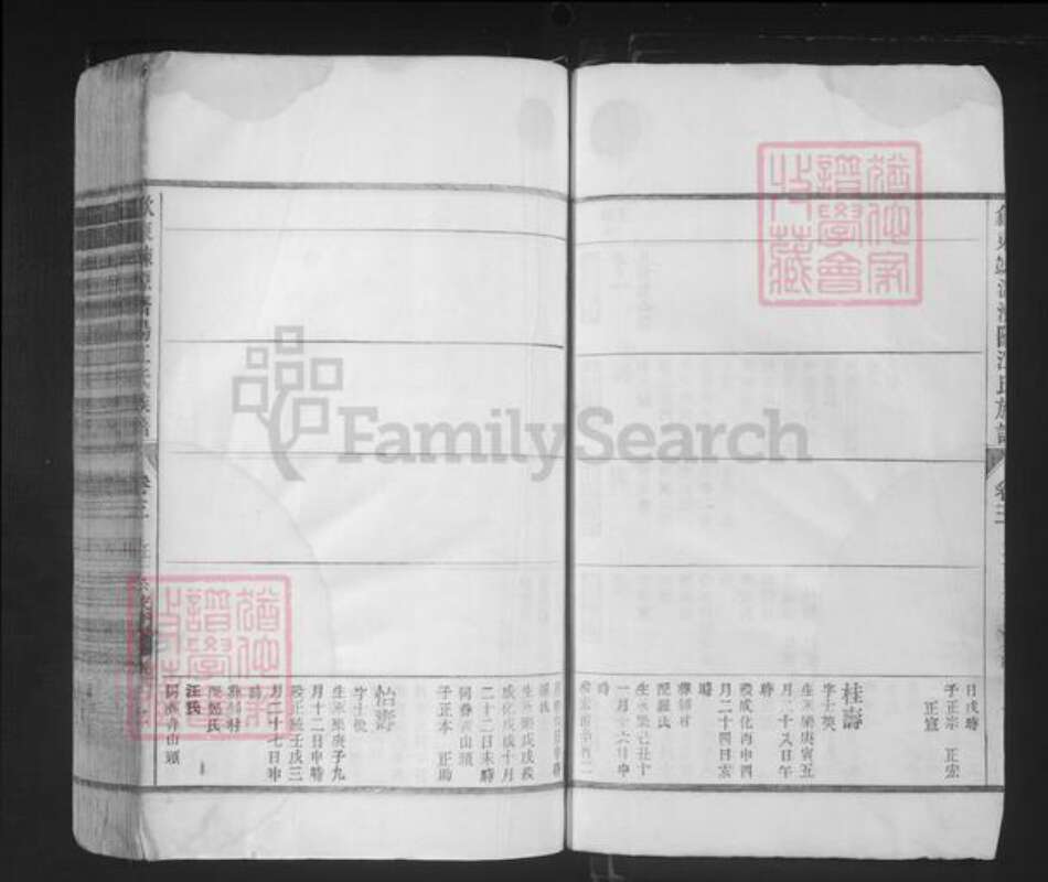 山东省济南市济阳区江氏族谱-歙东竦源济阳江氏族谱.pdf电子版预览图2