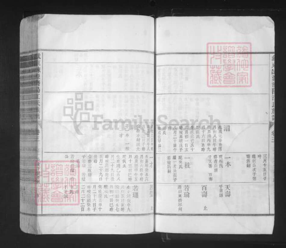 山东省济南市济阳区江氏族谱-歙东竦源济阳江氏族谱.pdf电子版预览图5