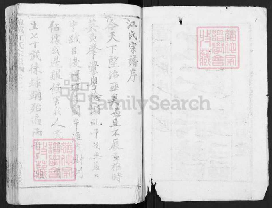 江苏省盐城市亭湖区江氏随月堂族谱-古盐江氏宗谱.pdf电子版预览图2