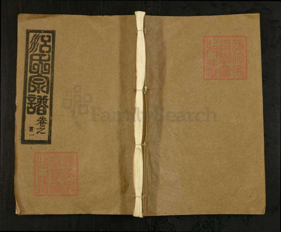 湖北省武汉市新洲区江氏淮扬堂族谱-江氏宗谱.pdf电子版缩略图