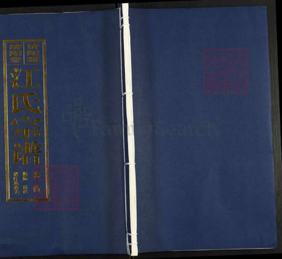 安徽省合肥市长丰县水湖镇江氏济阳堂族谱-江氏宗谱.pdf电子版缩略图