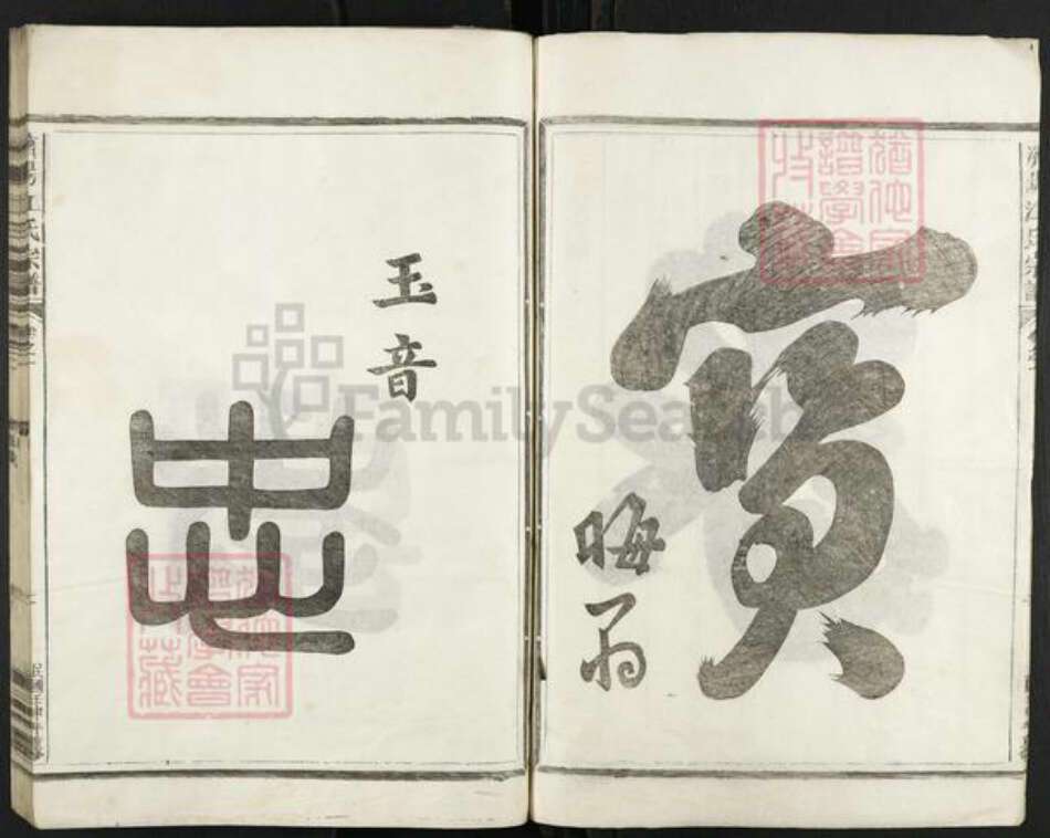 浙江省金华市兰溪市江氏族谱-济阳江氏宗谱.pdf电子版预览图5