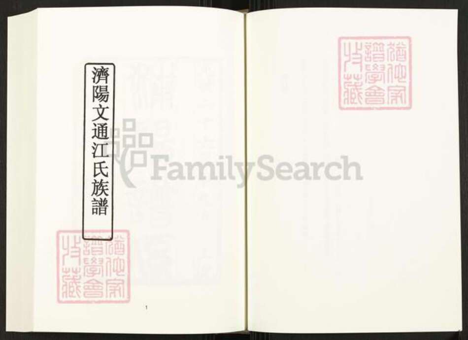 四川省成都市崇州市四川省江氏族谱-中国珍稀家谱丛刊.四川家谱.第9册.济阳文通江氏族谱.成都崇阳邵氏族谱.pdf电子版预览图3