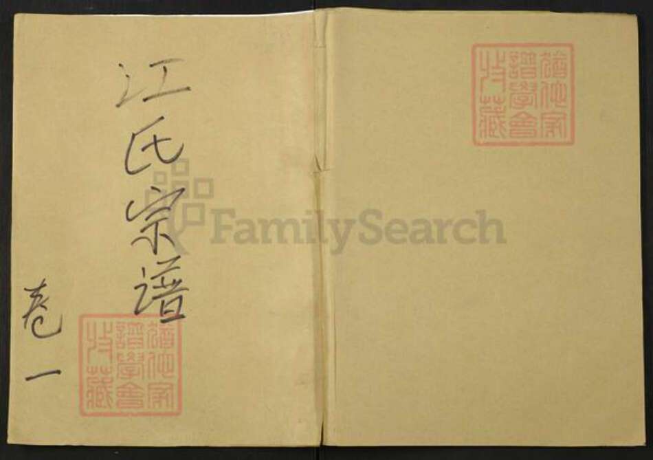 湖北省武汉市新洲区江氏族谱-江氏舟分谱.pdf电子版缩略图