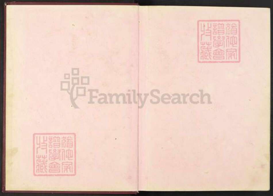 江西省鹰潭市贵溪市罗河镇姜氏族谱-姜氏宗谱.pdf电子版预览图1