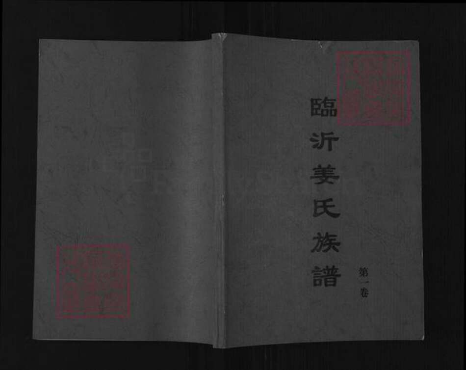 山东省临沂市兰山区姜氏族谱-临沂姜氏族谱.pdf电子版缩略图