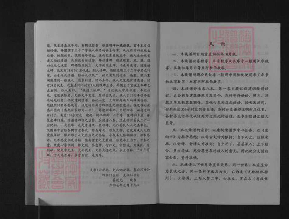 山东省临沂市兰山区姜氏族谱-临沂姜氏族谱.pdf电子版预览图4