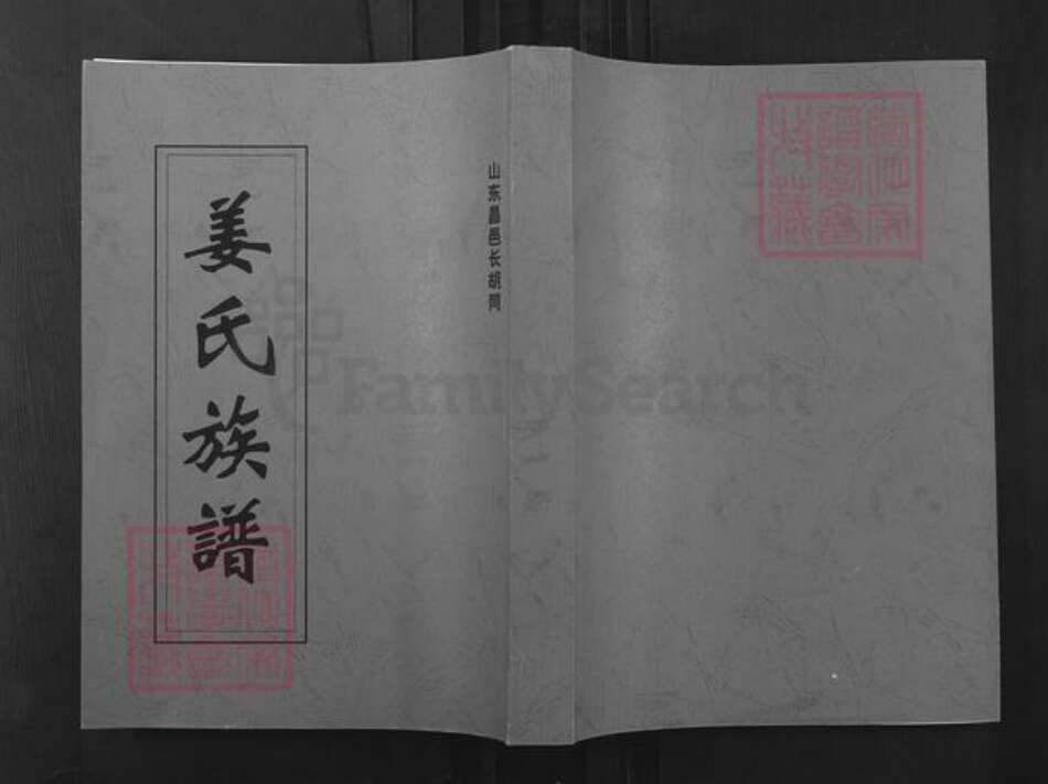 山东省潍坊市昌邑市柳疃镇姜氏族谱-昌邑长胡同姜氏族谱.pdf电子版缩略图