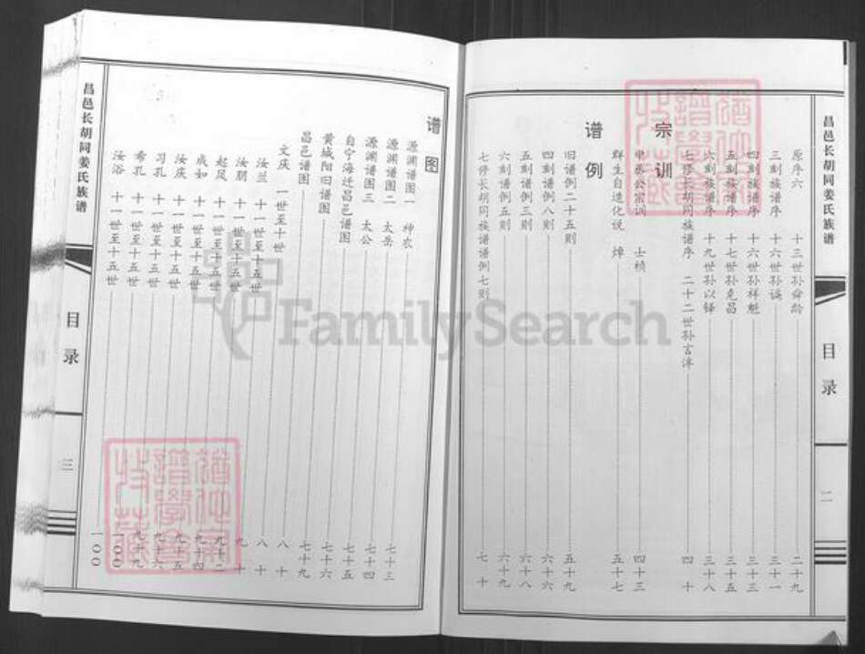 山东省潍坊市昌邑市柳疃镇姜氏族谱-昌邑长胡同姜氏族谱.pdf电子版预览图3