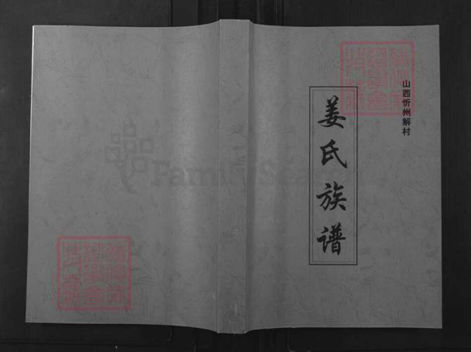 山西省忻州市忻府区曹张乡姜氏云中堂族谱-姜氏族谱.pdf电子版缩略图