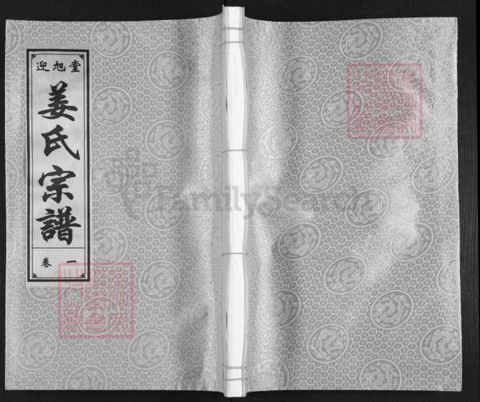 安徽省合肥市巢湖市安徽省合肥市巢湖市槐林镇姜氏迎旭堂族谱-姜氏宗谱.pdf电子版缩略图