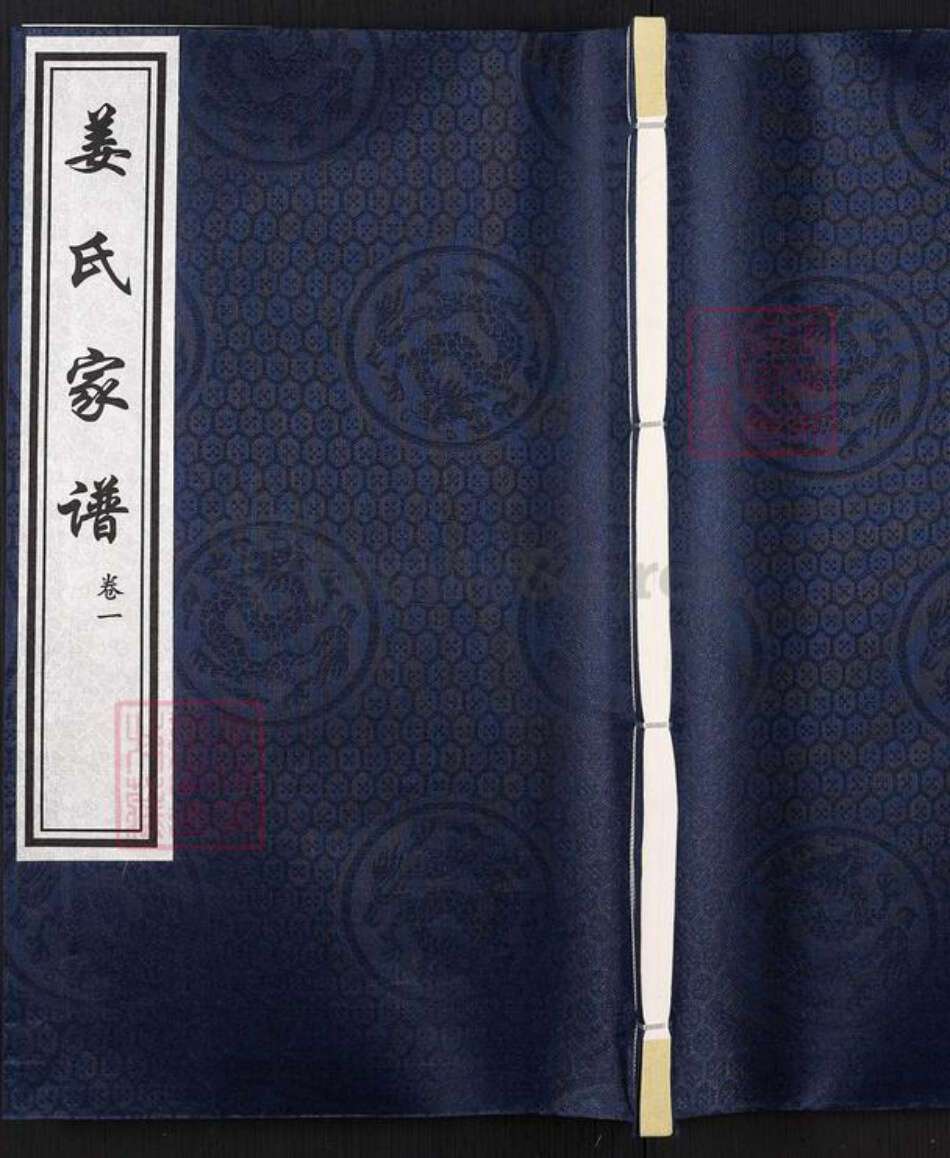 河北省沧州沧县薛官屯乡姜氏族谱-姜氏家谱.pdf电子版缩略图