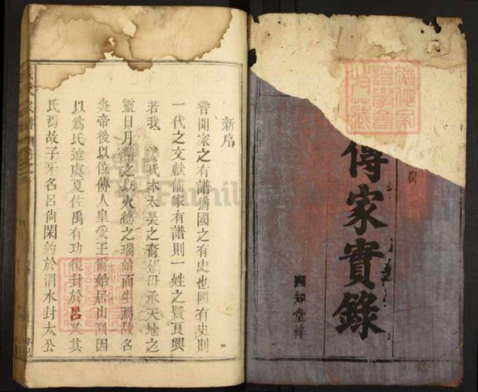 江西省九江市湖口县姜氏族谱-姜氏宗谱.pdf电子版预览图1