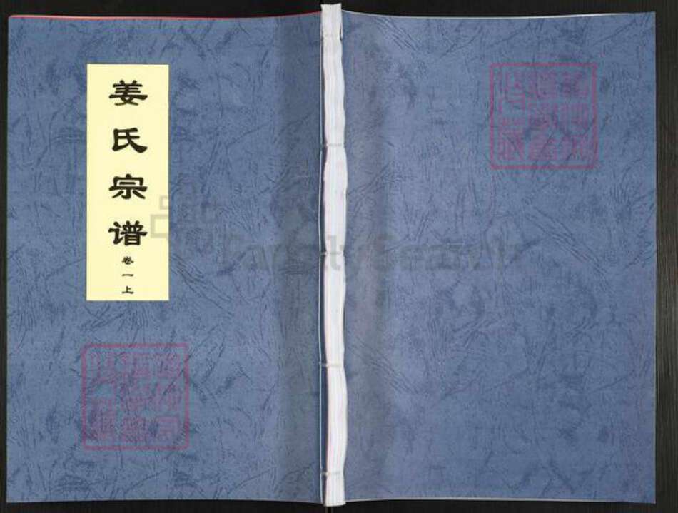 安徽省合肥市庐江县姜氏族谱-姜氏宗谱.pdf电子版缩略图