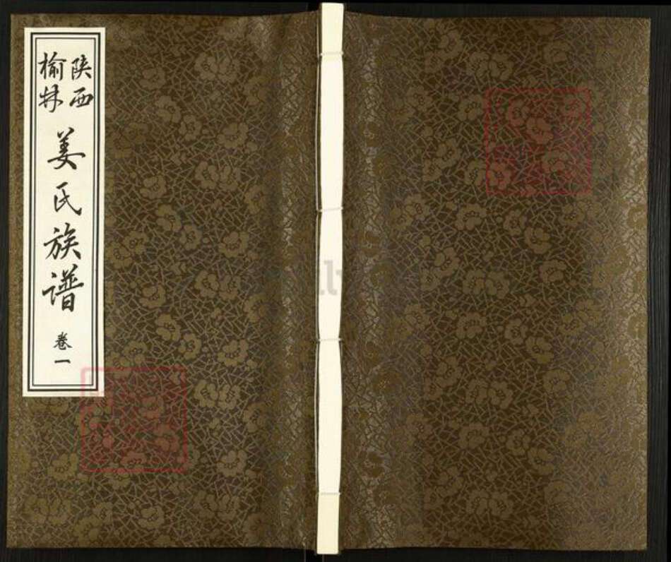 陕西省榆林姜氏族谱-陕西榆林姜氏族谱.pdf电子版缩略图