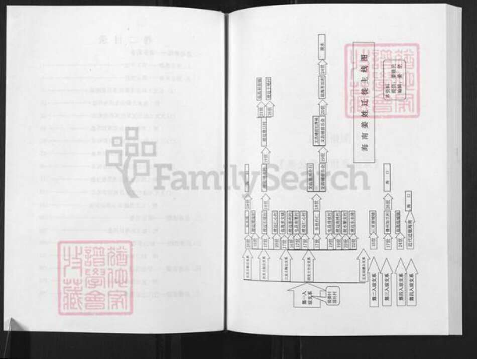 海南省海南省澄迈县老城镇姜氏敬胜堂族谱-海南姜氏族谱.pdf电子版预览图1