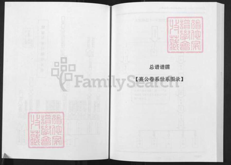 海南省海南省澄迈县老城镇姜氏敬胜堂族谱-海南姜氏族谱.pdf电子版预览图2