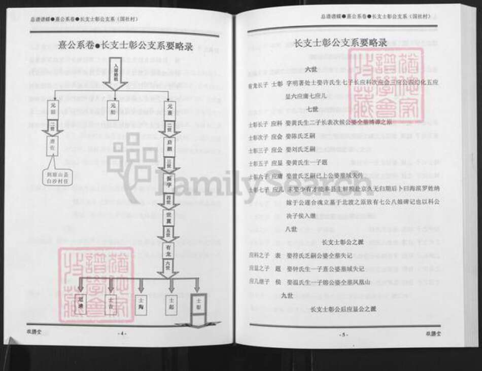 海南省海南省澄迈县老城镇姜氏敬胜堂族谱-海南姜氏族谱.pdf电子版预览图5